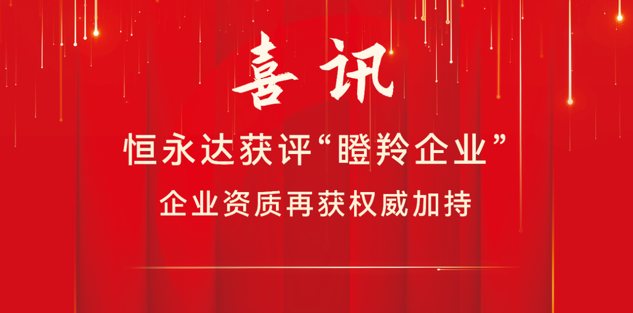创新再突破,恒永达科技荣膺“瞪羚企业”